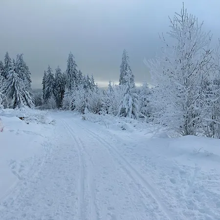 Hotel Waldhaus Wulmeringhausen