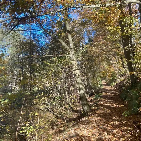 Waldhaus Wulmeringhausen Hotel Olsberg