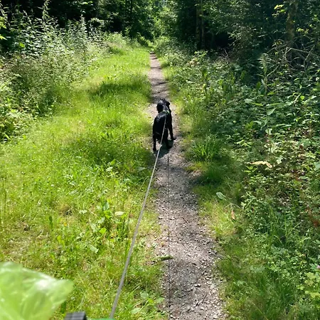 Hotel Waldhaus Wulmeringhausen