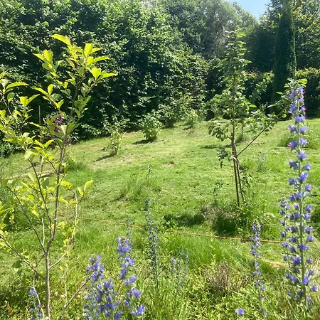 Waldhaus Wulmeringhausen *