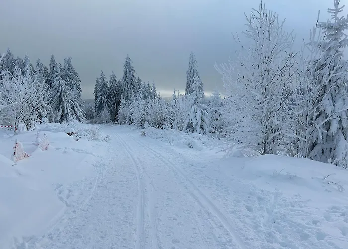 Hotel Waldhaus Wulmeringhausen