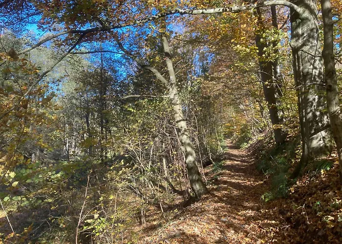 Waldhaus Wulmeringhausen Hotel Olsberg