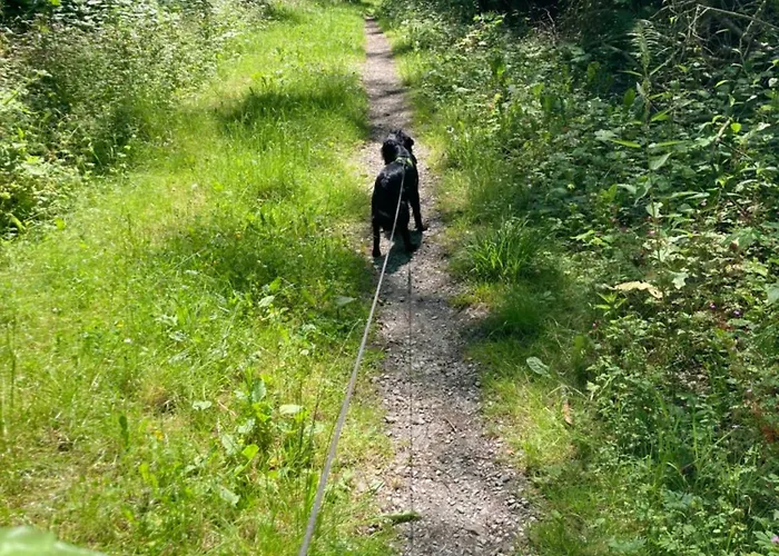 Hotel Waldhaus Wulmeringhausen