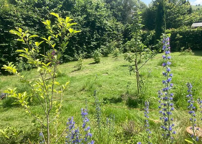 Waldhaus Wulmeringhausen *